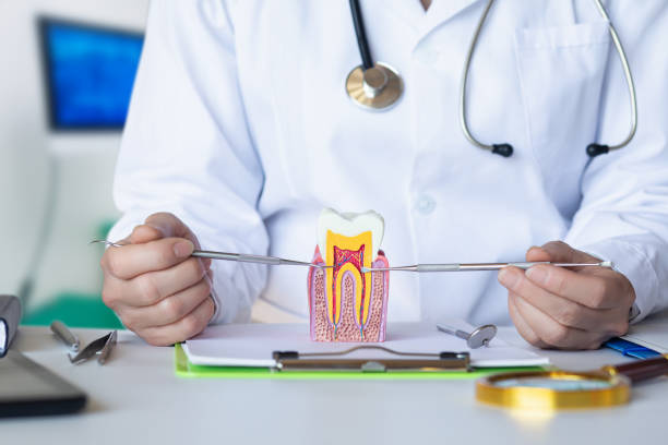 Best Weekend Emergency Dentist in Lakes Of The Four Seasons, IN
